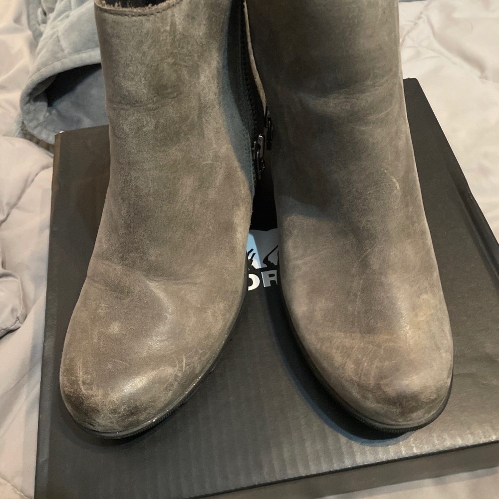 Grey Sorel